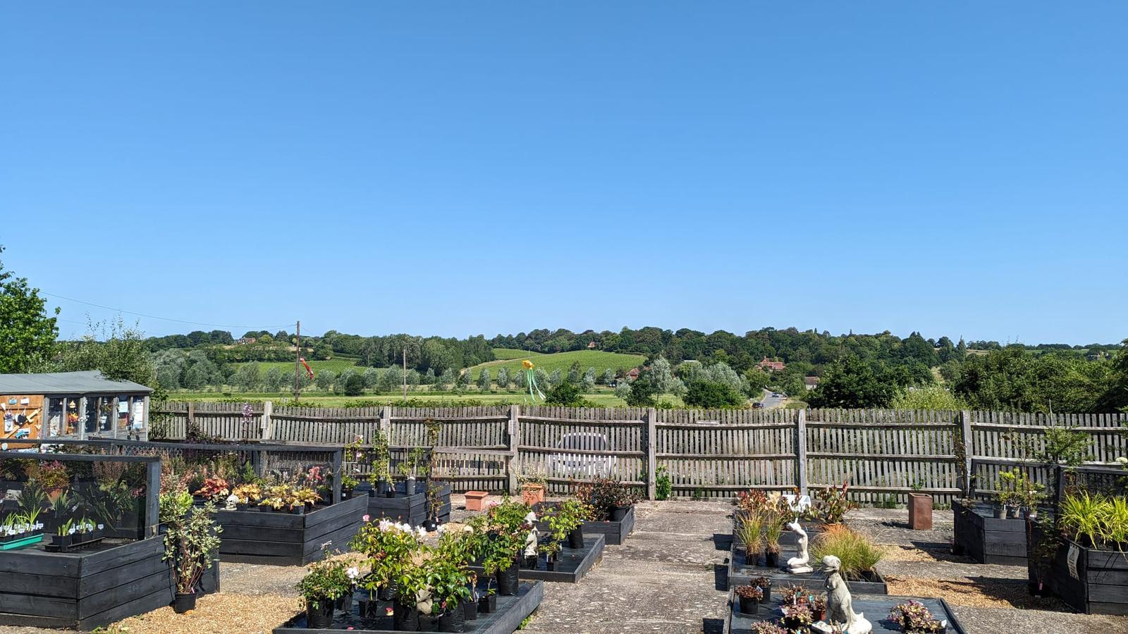 Plant Nursery Bodium