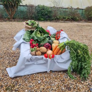 Large Veg Box