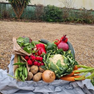 Extra Large Veg Box
